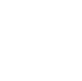 White logo on a white background.